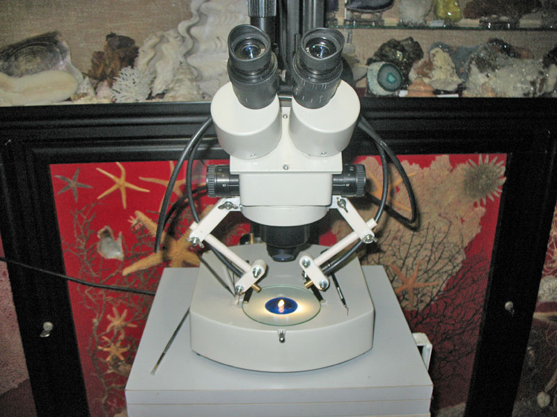 Illuminazione a fibbre ottiche