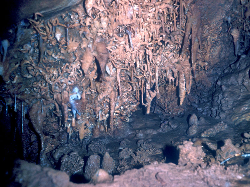 concrezione a dente di cane