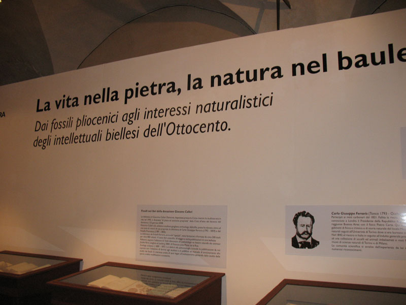 Anche a Biella un po'' di Paleontologia ?