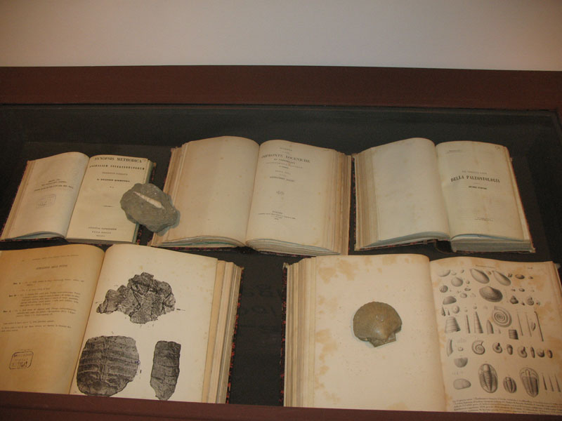 Anche a Biella un po'' di Paleontologia ?