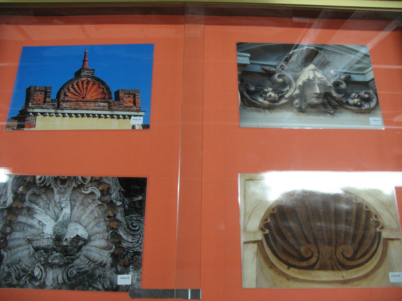 Mostra malacologica a Novara
