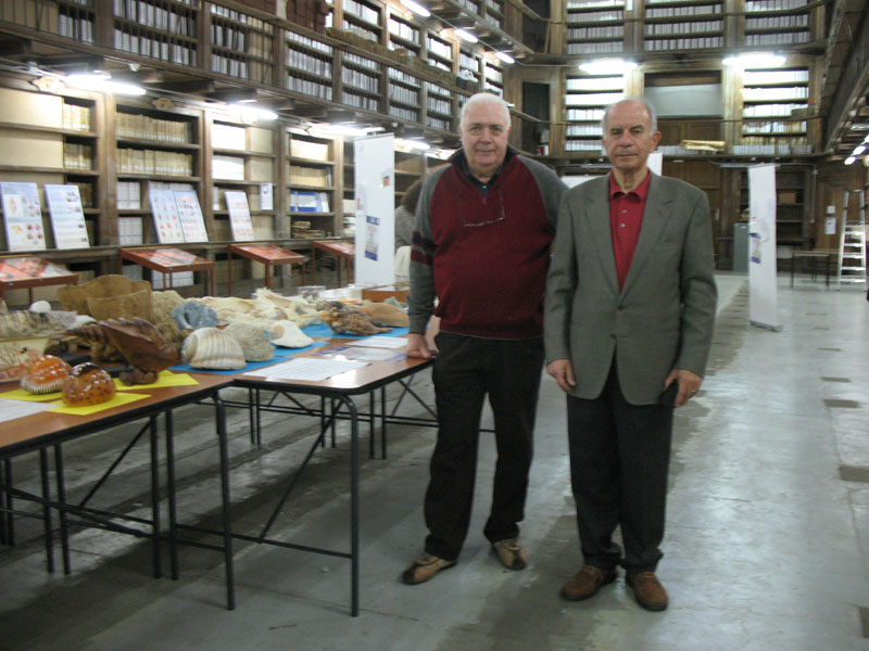 Mostra malacologica a Novara