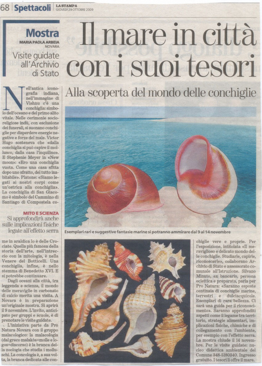Mostra malacologica a Novara