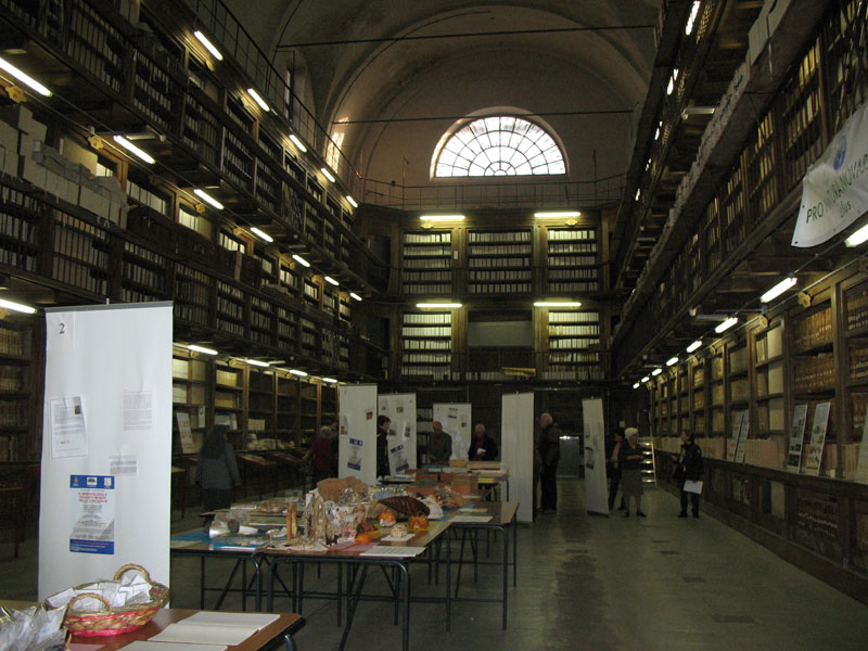 Mostra malacologica a Novara