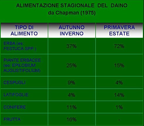 CERVIDI