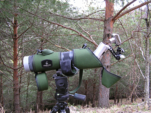 PASSIONE PER IL CERVO