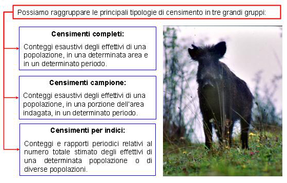 Metodologie di censimento