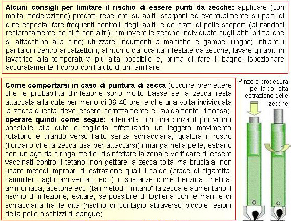 UNGULATI : problema zecche