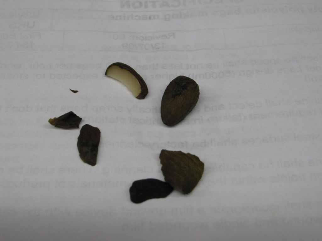 Val Poschiavo: semi autoctoni o esotici??