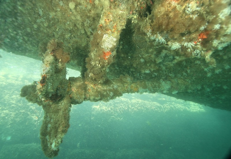 Fouling che ricopre barche, navi