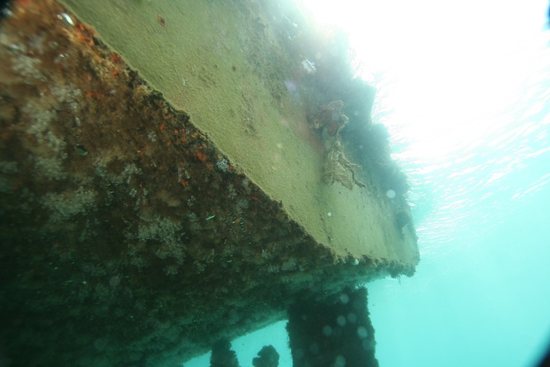 Fouling che ricopre barche, navi