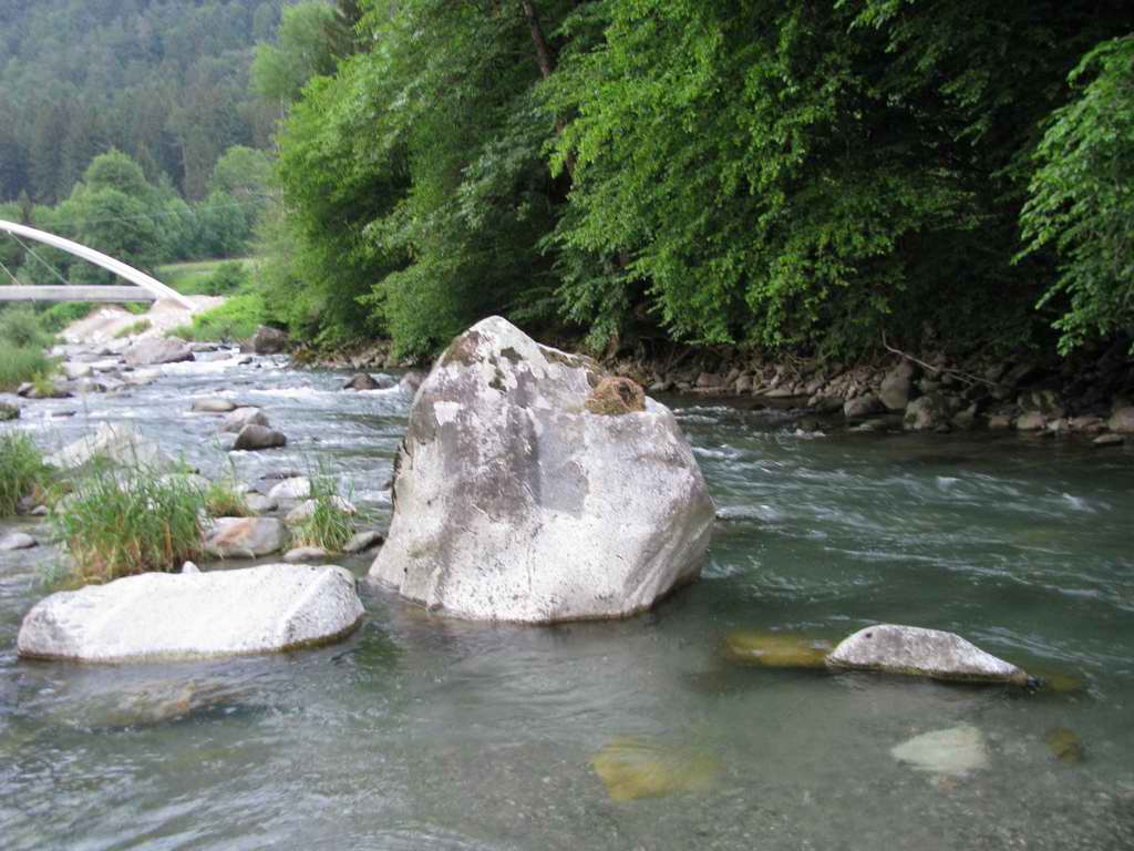 Nido (non occupato) su sasso in mezzo al fiume