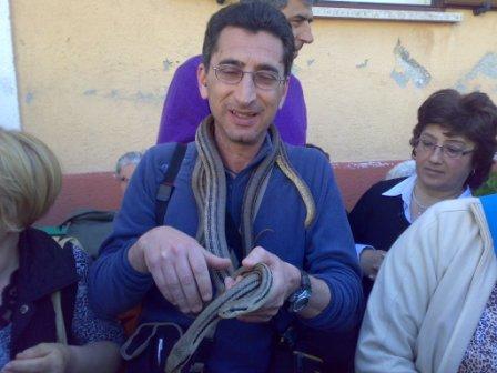 Cattura serpente