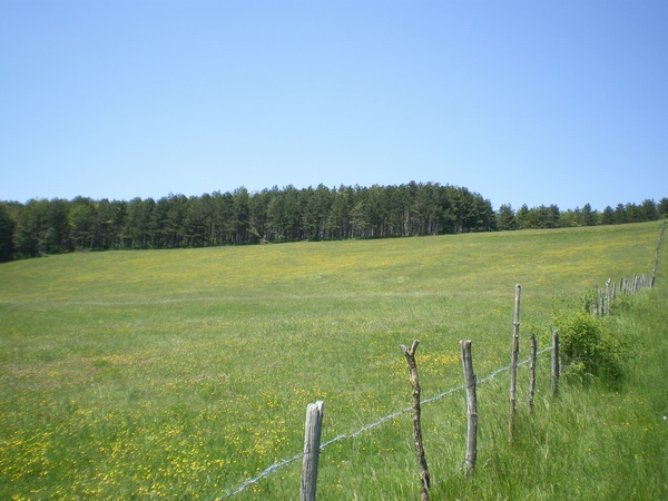 Piani di Montelago
