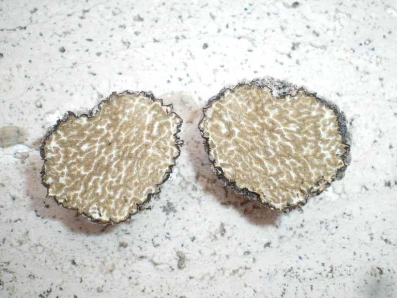 Ho trovato un tartufo??