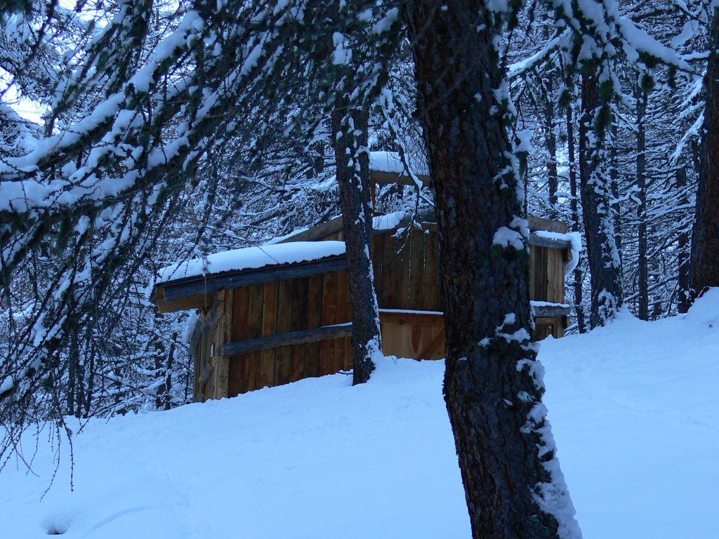 PASSIONE PER IL CERVO