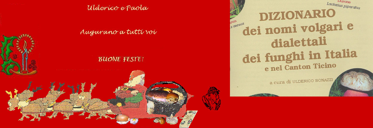 Da determinare fotog.il 22.12.09.