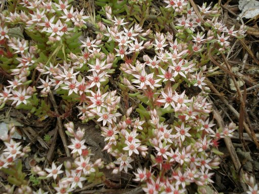 Non mi picchiate......