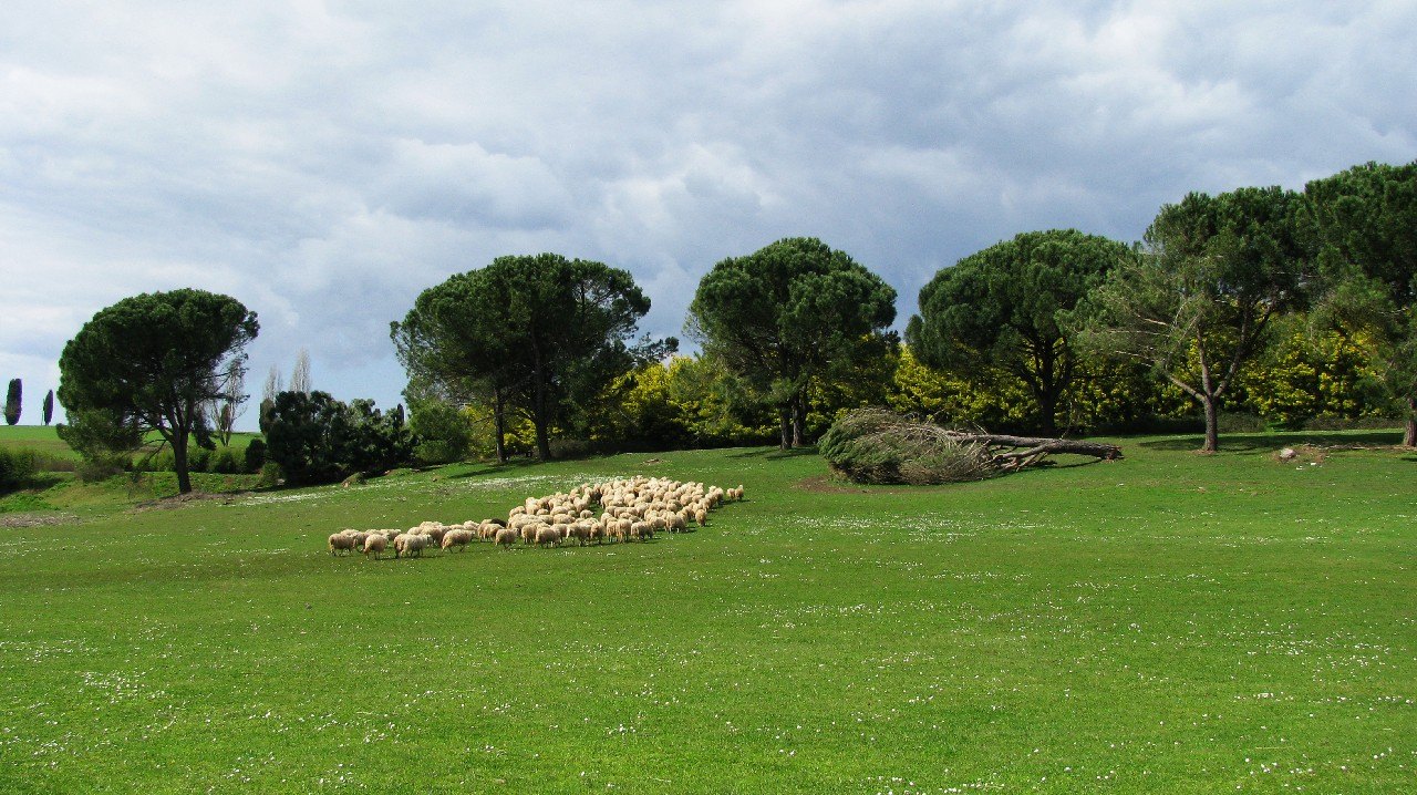 Primo Convegno Natura Mediterraneo 20 - 21 MARZO 2010