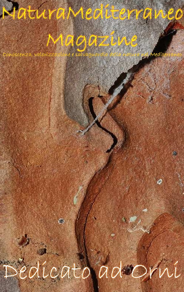 NATURA MEDITERRANEO MAGAZINE 9