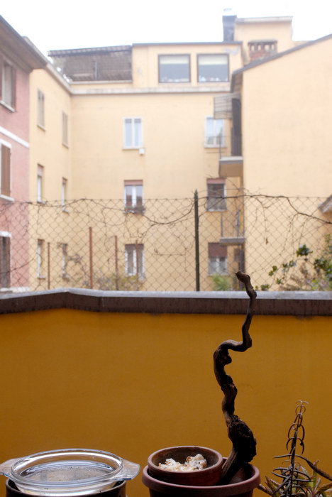 I giorni della merla
