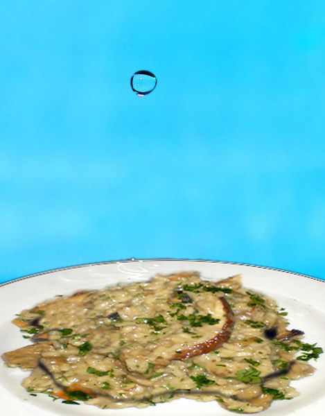 Il mondo degli allegri funghi...vietato ai micologi!    (2)