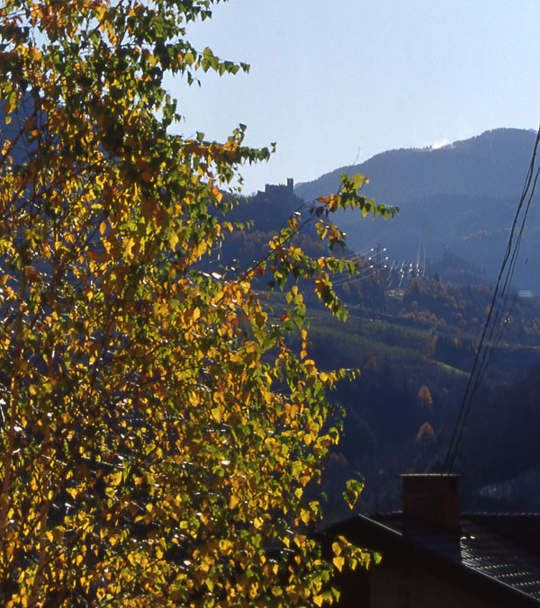 Castelli,Torri e Palazzi.....del Trentino