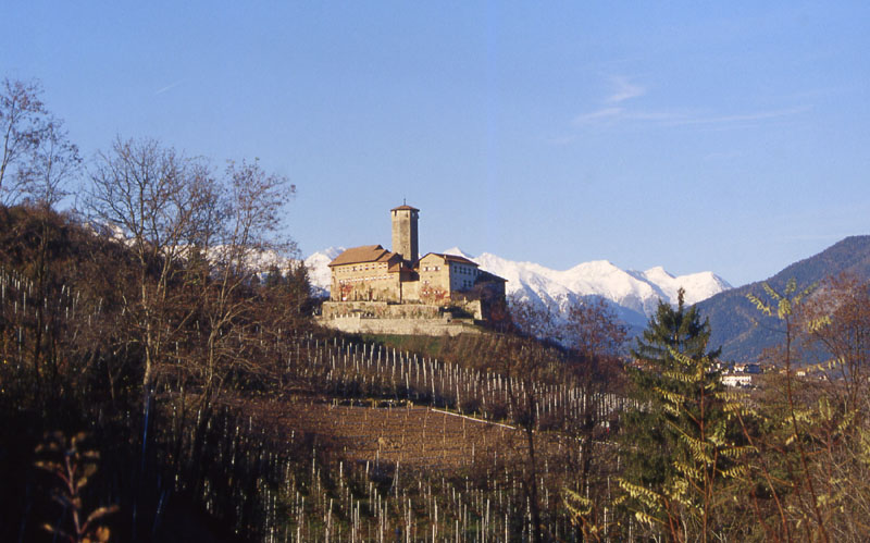 Castelli,Torri e Palazzi.....del Trentino