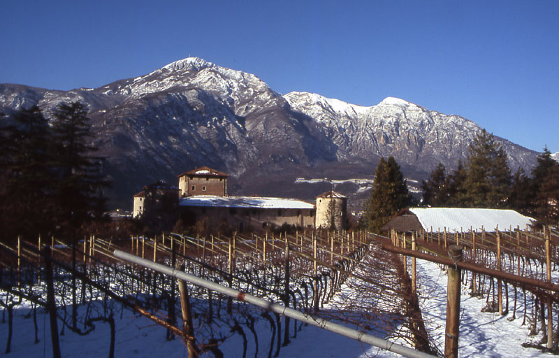 Castelli,Torri e Palazzi.....del Trentino