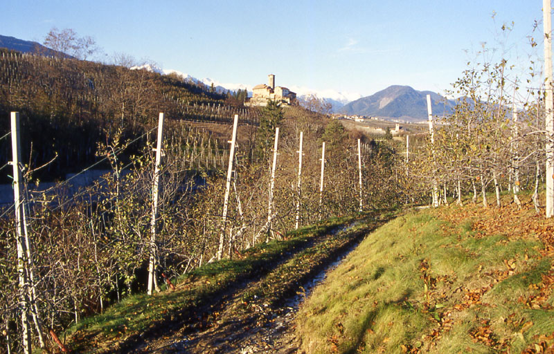 Castelli,Torri e Palazzi.....del Trentino