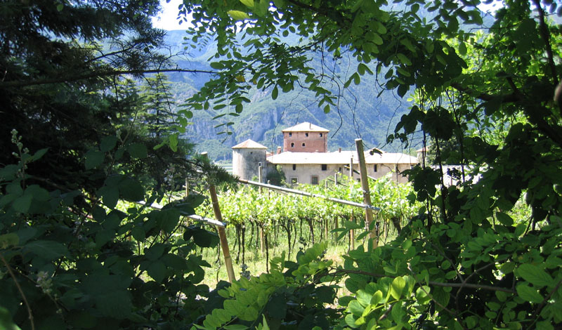 Castelli,Torri e Palazzi.....del Trentino