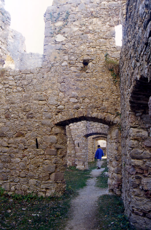 Castelli,Torri e Palazzi.....del Trentino