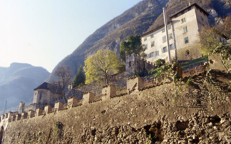 Castelli,Torri e Palazzi.....del Trentino