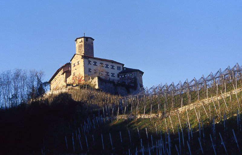 Castelli,Torri e Palazzi.....del Trentino