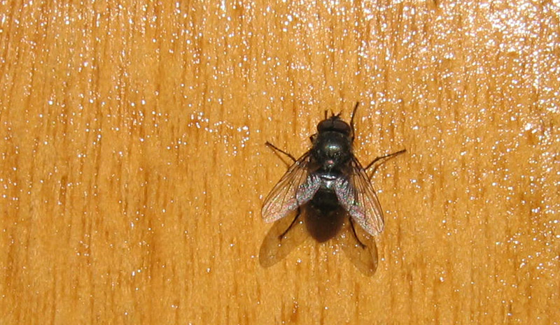 fuori casa.....3