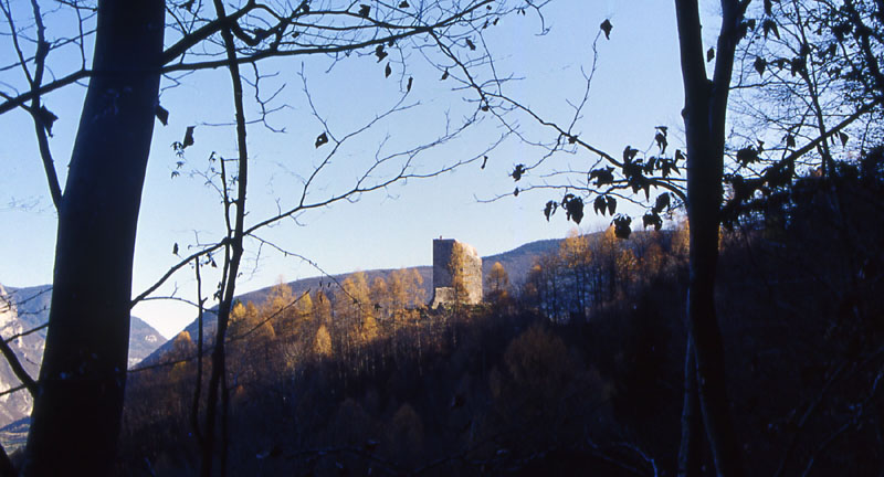 Castelli,Torri e Palazzi.....del Trentino