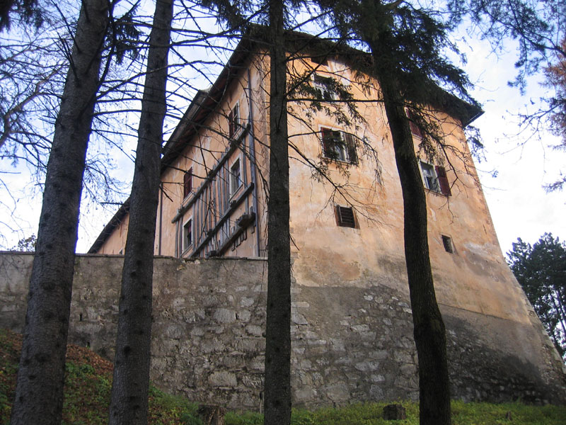 Castelli,Torri e Palazzi.....del Trentino