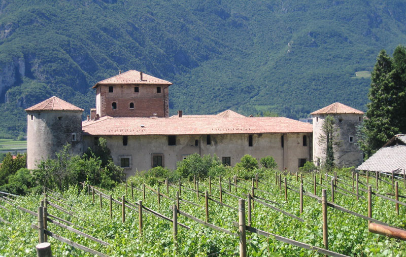 Castelli,Torri e Palazzi.....del Trentino