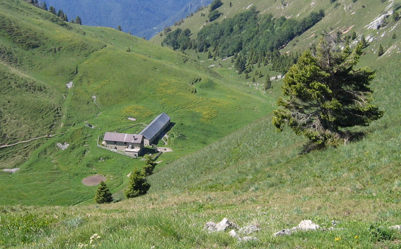 stava annegando in una pozza..... Manica rubida