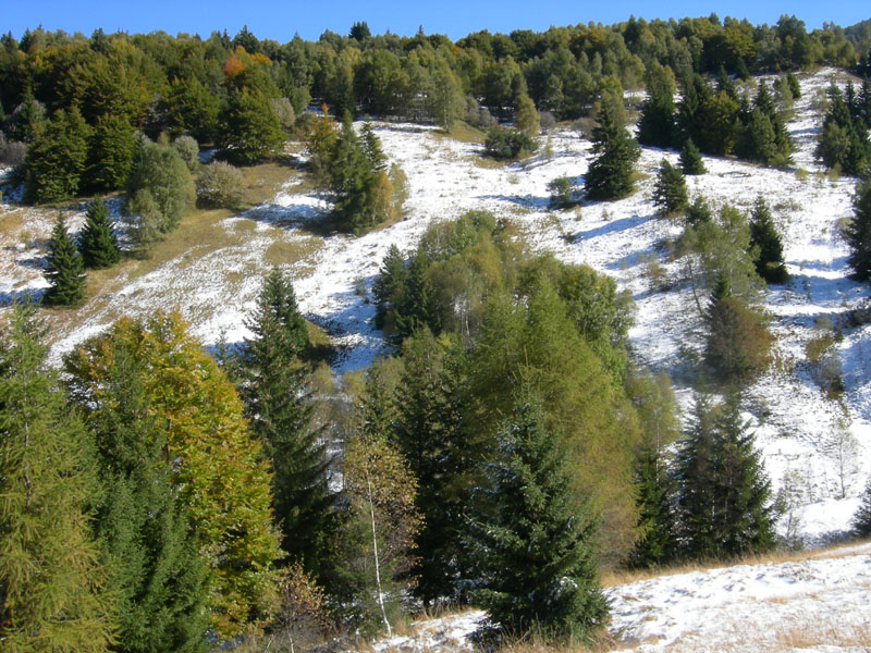 neve....sopra i 1350 m.