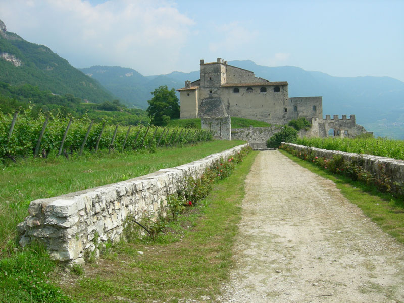 Castelli,Torri e Palazzi.....del Trentino