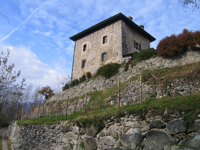 Castelli,Torri e Palazzi.....del Trentino