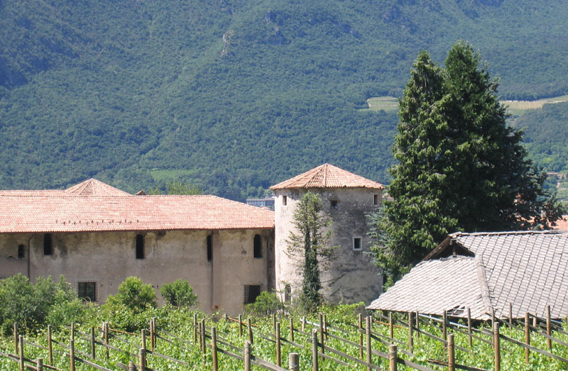 Castelli,Torri e Palazzi.....del Trentino