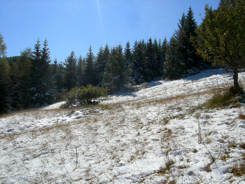 neve....sopra i 1350 m.