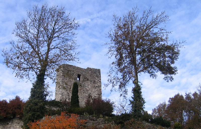 Castelli,Torri e Palazzi.....del Trentino