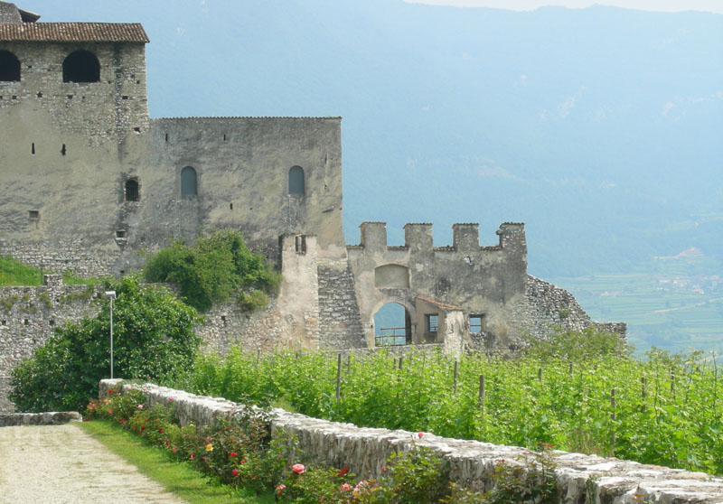 Castelli,Torri e Palazzi.....del Trentino