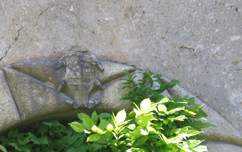 Castelli,Torri e Palazzi.....del Trentino