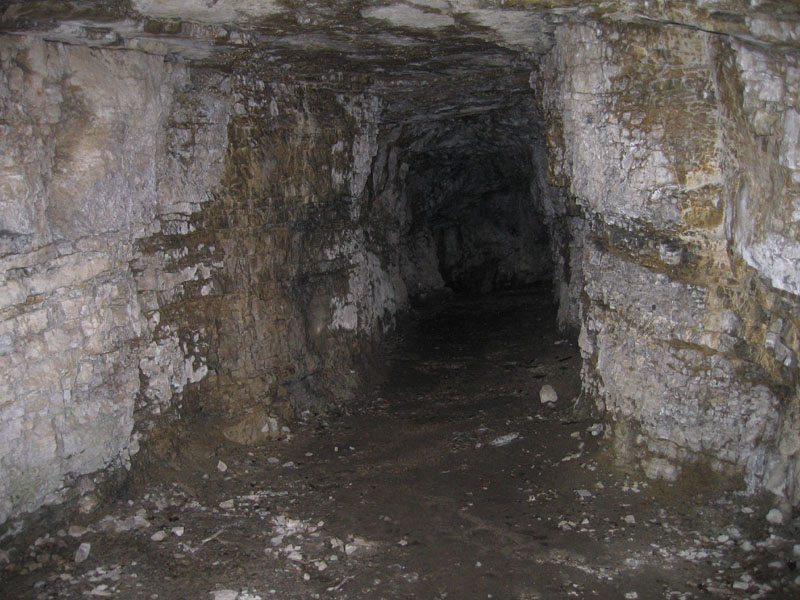 Castelli,Torri e Palazzi.....del Trentino