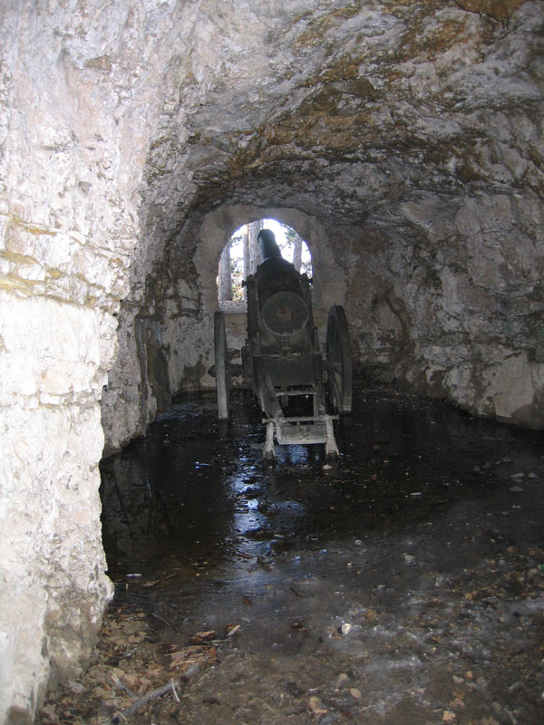 Castelli,Torri e Palazzi.....del Trentino