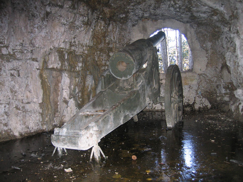 Castelli,Torri e Palazzi.....del Trentino